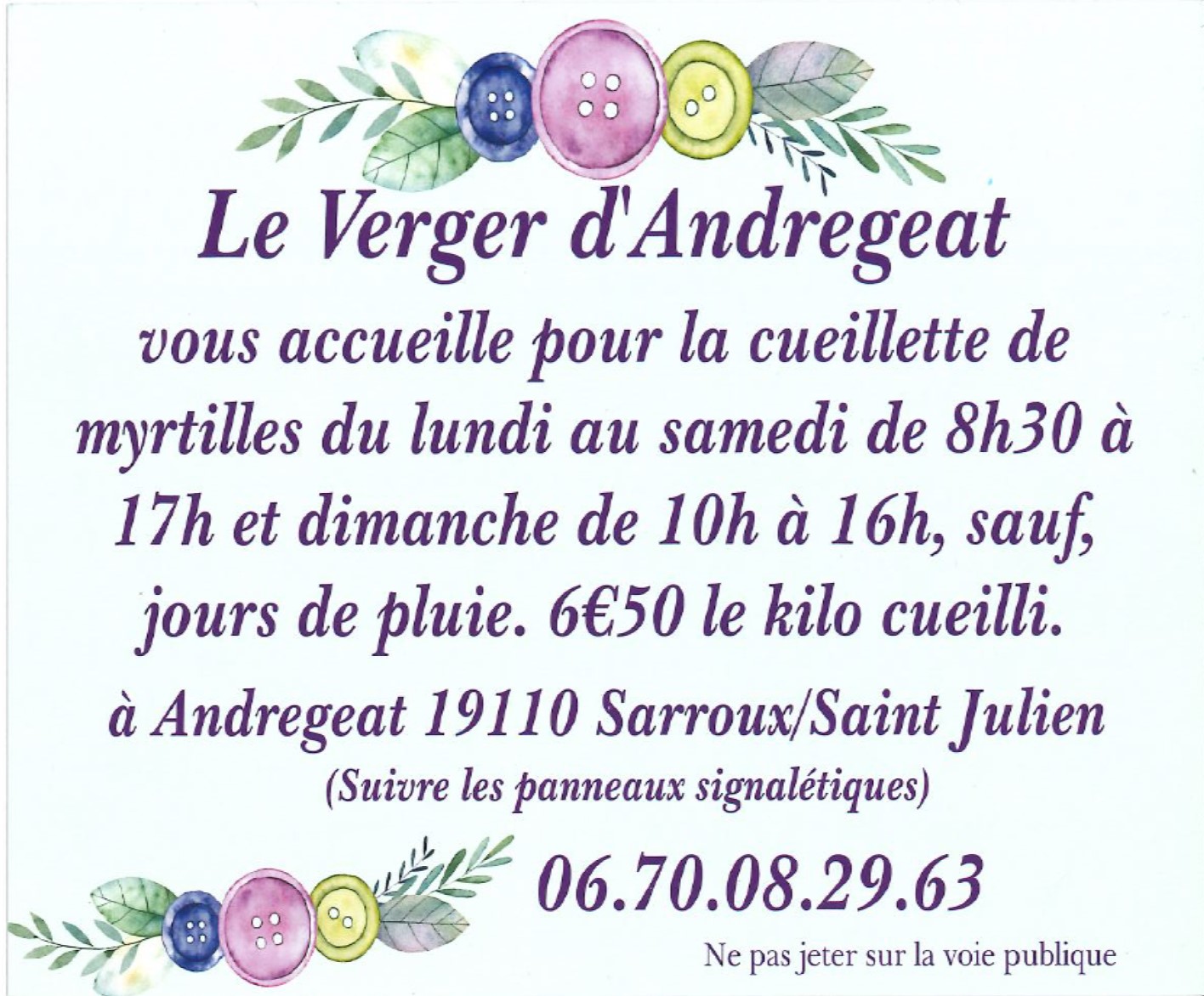 Description de l'image