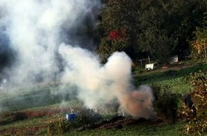 Le brûlage des déchets verts domestiques est interdit