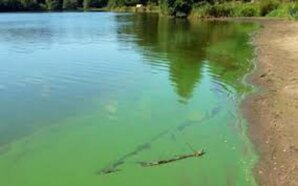 La baignade de Les Aubazines Hautes est catégorisée en niveau d’alerte 1